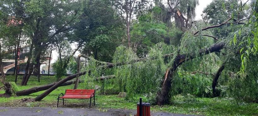 Urgie la Brăila! Furtuna a smuls acoperișuri, iar 10 vaci au fost electrocutate 18853457