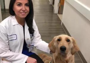 Șocant: Un renumit medic oncolog și-a împușcat bebelușul și apoi s-a sinucis 18853495