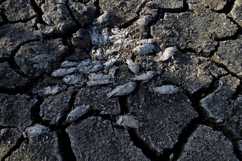 Secetă extremă: oamenii sapă în albia unui râu secat 18853806