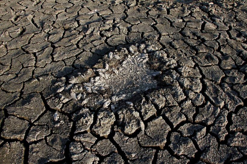 Secetă extremă: oamenii sapă în albia unui râu secat 18853807