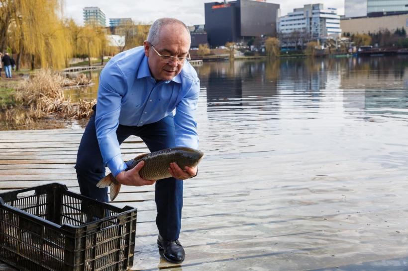  Dezastru ecologic într-un lac din Cluj-Napoca. Mii de pești au murit: blocurile și mall-ul au secat izvoarele 18854223