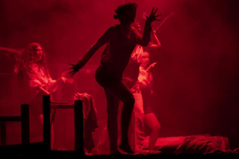 Ideo Ideis Festivalul #18, la linia de start!  8 zile de teatru, film, muzică, dezbateri și ateliere, între 11 și 18 august, în Alexandria 18854176