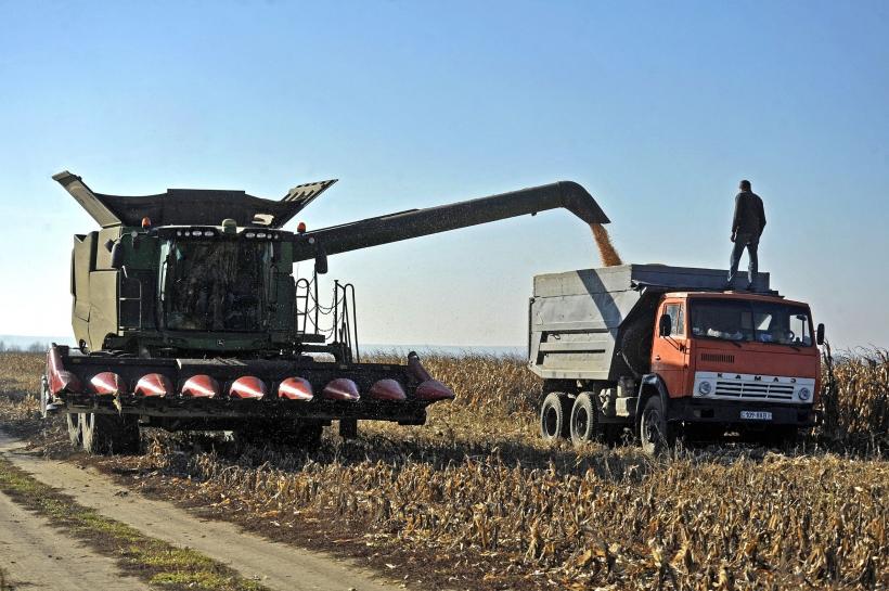 Războiul cerealelor: Securitatea alimentară a lumii, în pericol. Fără grânele ucrainene, Rusia va avea mult mai mult control 18854080