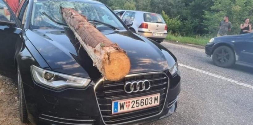 Final Destination: Un buștean căzut dintr-un TIR a străpuns parbrizul unei mașini în mers, pe DN 10, în Brașov. Ca prin minune, nimeni nu a fost rănit 18854610