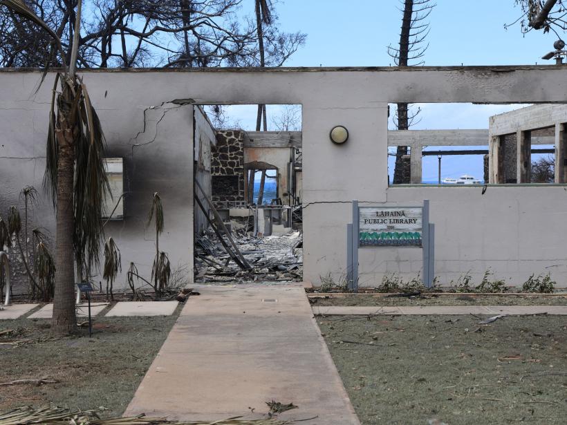 Căutări disperate în Hawaii: echipele pot găsi zilnic între 10 și 20 de cadavre 18854649