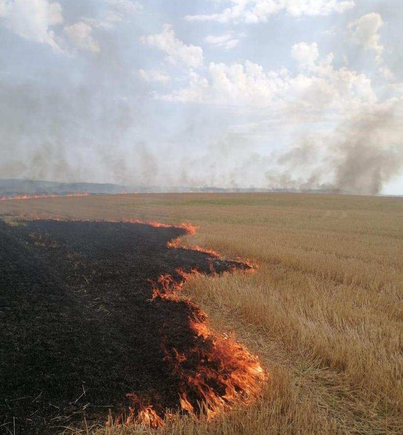 Circa 20 de hectare de vegetație uscată, arse în Mureș