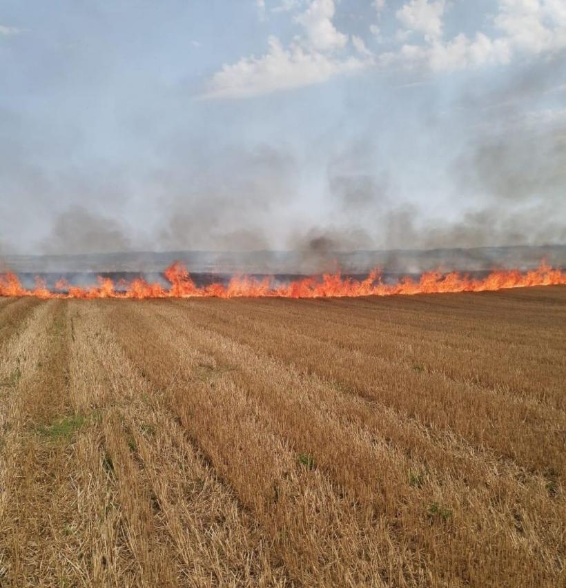 Circa 20 de hectare de vegetație uscată, arse în Mureș 18854748