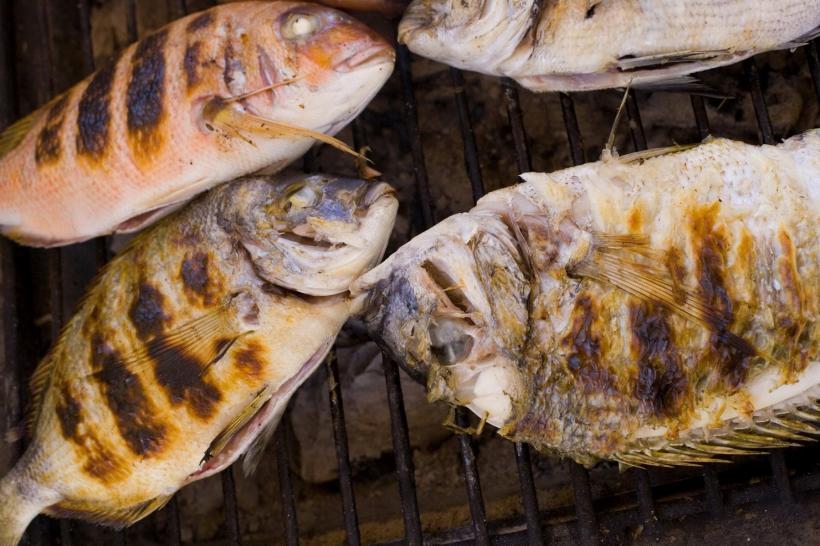 O sursă excelentă de proteină: peștele