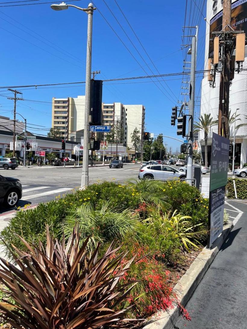 Diaspora de dincolo și de dincoace de Ocean 18855016