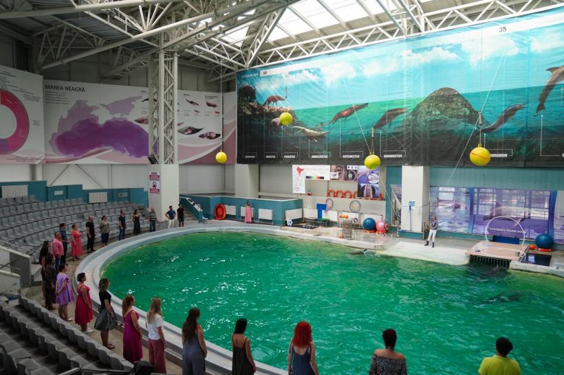 O asociere spectaculoasă: Corul Madrigal și delfinii din Constanța! 18855135