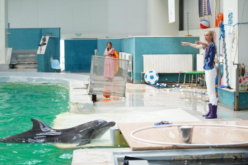 O asociere spectaculoasă: Corul Madrigal și delfinii din Constanța! 18855136