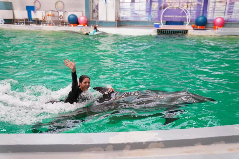 O asociere spectaculoasă: Corul Madrigal și delfinii din Constanța! 18855138