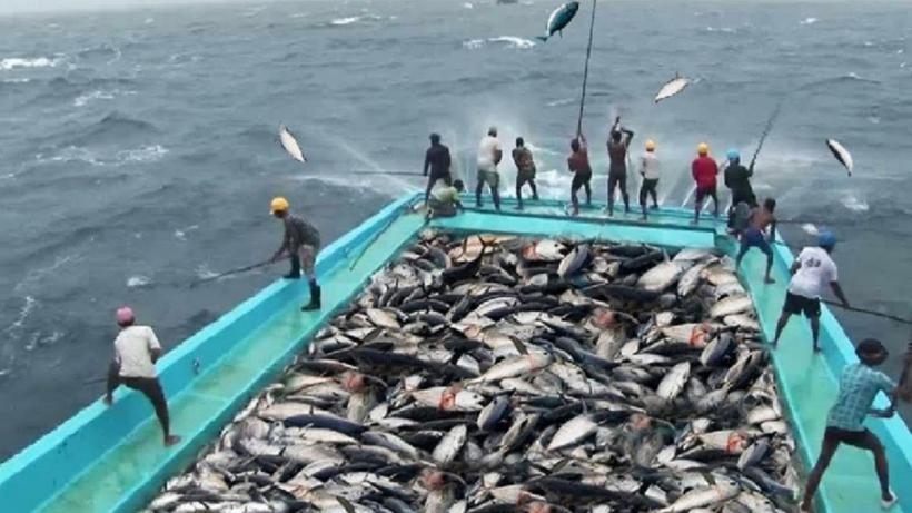 Icre negre, scoici St. Jacques, calamar. Un milion €, pentru „meniul diversificat” de la Banca Națională  18855461