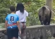 La un pas de tragedie! O mamă și-a dus copilul să hrănească un urs pe Transfăgărășan, pe marginea drumului