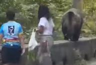 La un pas de tragedie! O mamă și-a dus copilul să hrănească un urs pe Transfăgărășan, pe marginea drumului 18855672