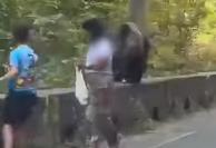 La un pas de tragedie! O mamă și-a dus copilul să hrănească un urs pe Transfăgărășan, pe marginea drumului 18855673