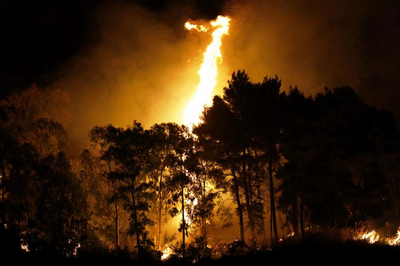 Risc major de producere a incendiilor de vegetație în Portugalia