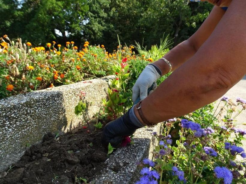 Fântânile ornamentale din Herăstrău au intrat în reabilitare 18855920