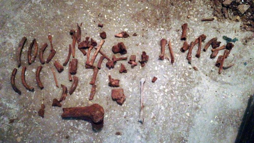Anchetă în Târgu Jiu după ce în podul unei biserici au fost găsite fragmente osoase posibil umane