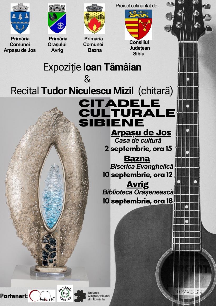 Județul Sibiu intră în galeria ”Citadelelor culturale” 18855882