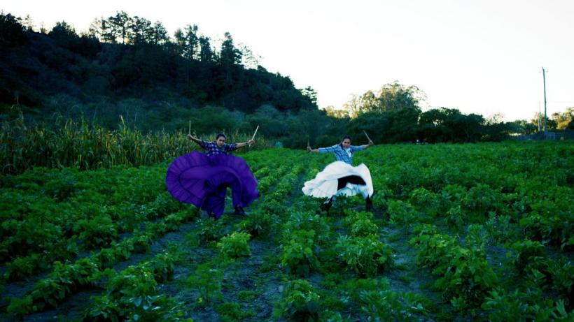 Filme din peste 10 țări, în competiția Bucharest International Dance Film Festival #9 18856272