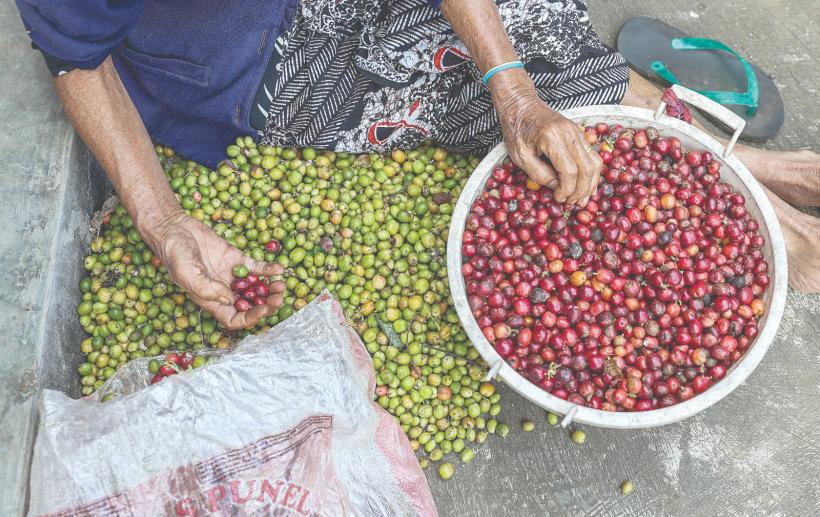 Piața de nișă vrea produse-unicat 18856210