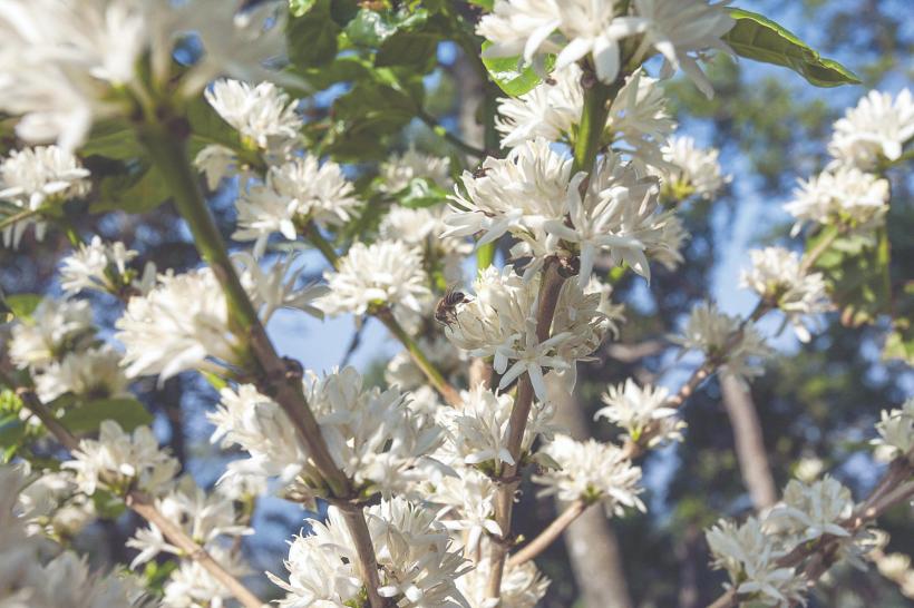 Piața de nișă vrea produse-unicat 18856212