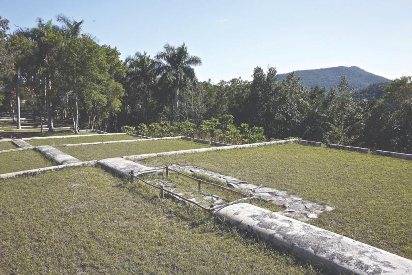 Piața de nișă vrea produse-unicat 18856213