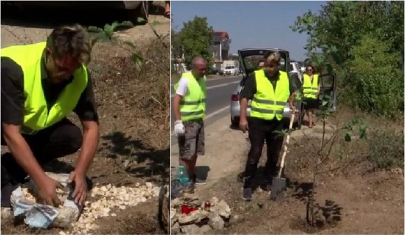 Tatăl fetei ucise în accidentul de la 2 Mai a plantat un copac la locul tragediei 18856392