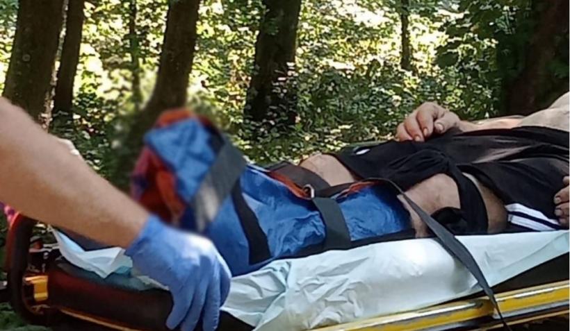 În loc de distracție, la spital! Atacat de un tigru, la ZOO Bârlad  18856535