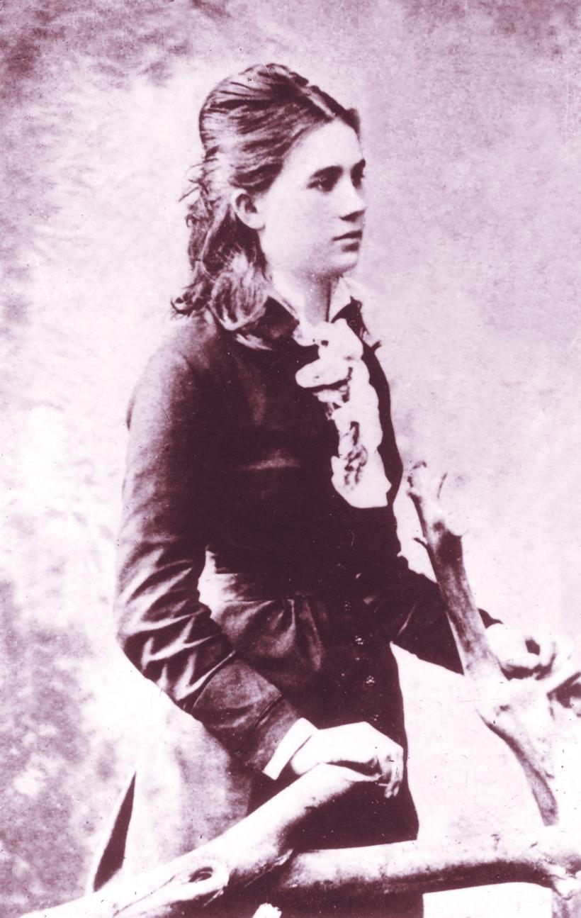 Jurnalul de viață și de moarte al lui Ciprian Porumbescu 18856584