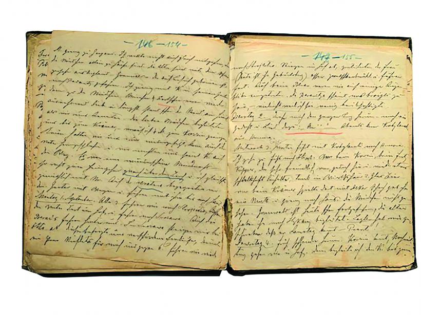 Jurnalul de viață și de moarte al lui Ciprian Porumbescu 18856586