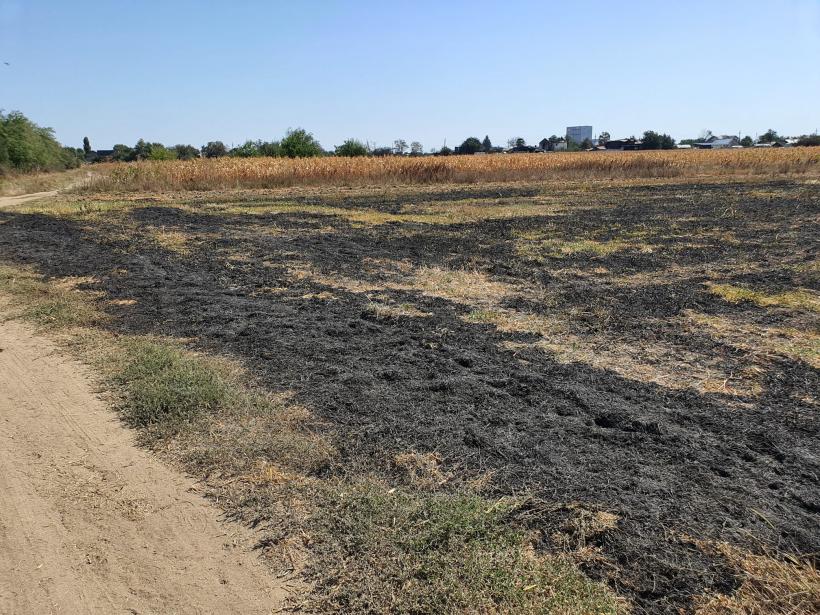 Poveștile oamenilor care au trecut prin foc 18856551