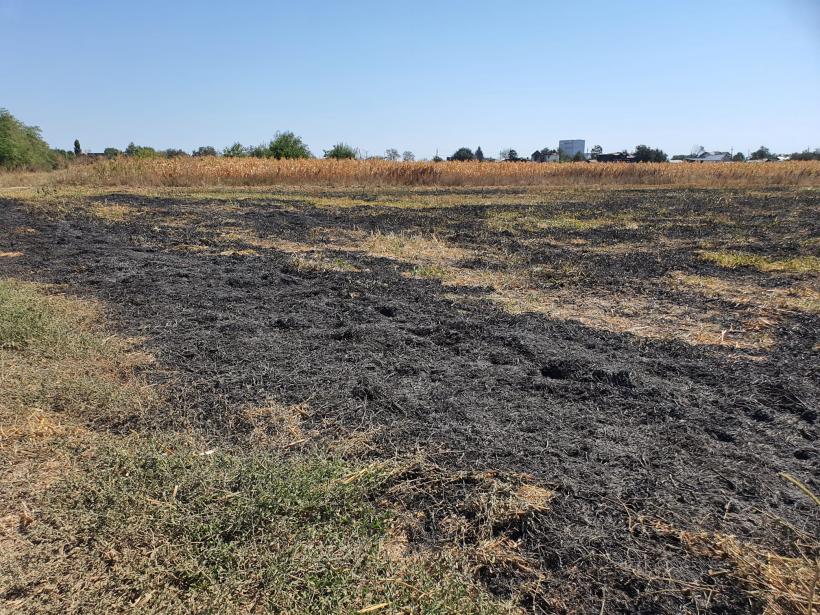 Poveștile oamenilor care au trecut prin foc 18856552