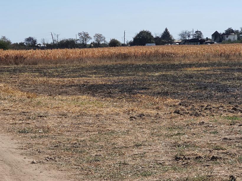 Poveștile oamenilor care au trecut prin foc 18856553