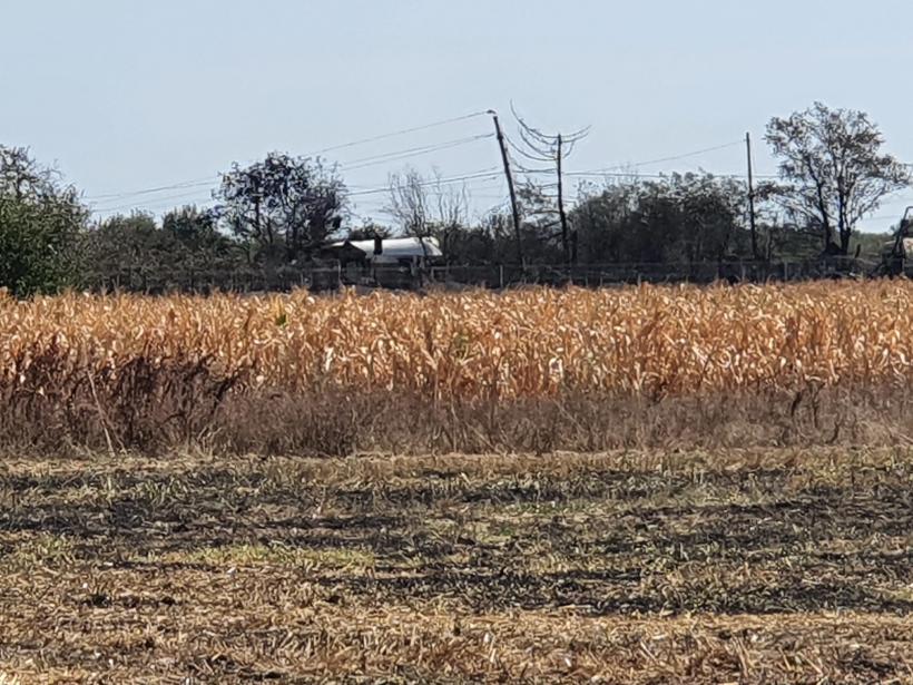 Poveștile oamenilor care au trecut prin foc 18856555