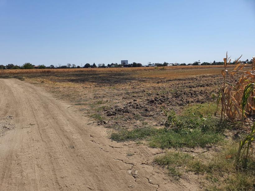 Poveștile oamenilor care au trecut prin foc 18856556