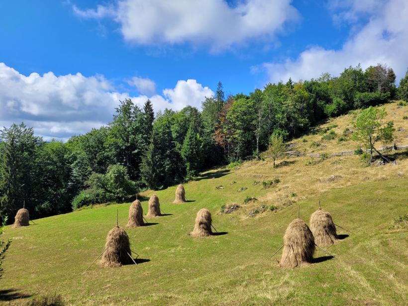 Gârda de Sus - păstrătoare de tradiții în Țara Moților 18856879