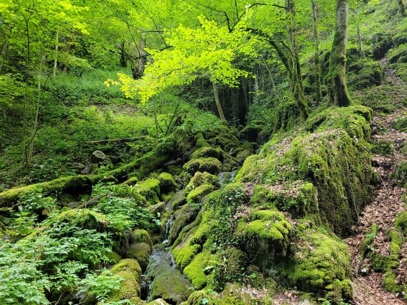 Gârda de Sus - păstrătoare de tradiții în Țara Moților 18856883