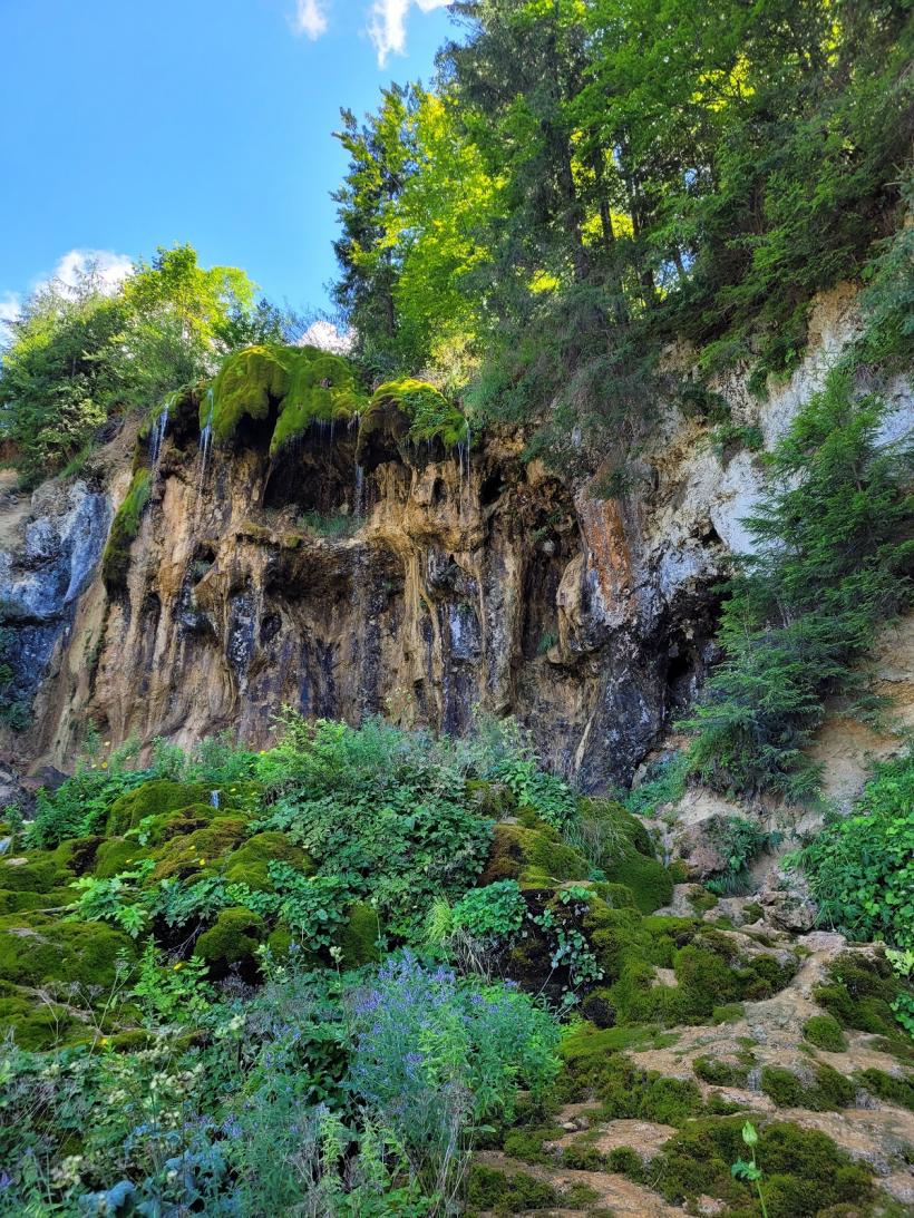 Gârda de Sus - păstrătoare de tradiții în Țara Moților 18856895