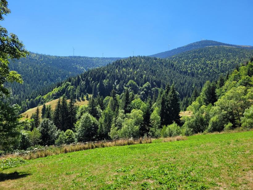 Gârda de Sus - păstrătoare de tradiții în Țara Moților 18856896