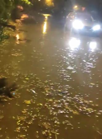 Rupere de nori la Galați: Furtuna a doborât 40 de copaci, iar două persoane aflate într-o barcă în derivă au fost salvate 18857256