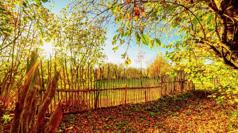 De ce iubim toamna? Iată 11 citate celebre despre anotimpul în care am pășit astăzi 18857280