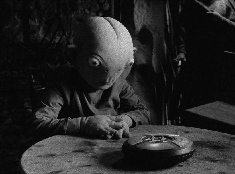 Competiția Internațională de Scurtmetraj BIEFF.13 -  o  panoramă la superlativ a posibilităților cinemaului actual 18857236