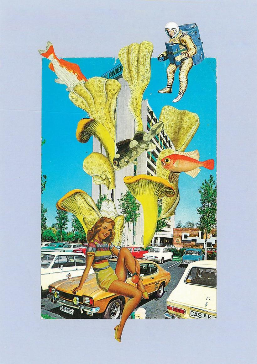 Concerte, DJ sets, expoziții, meșteșuguri, gastronomie la Balkanik Festival: 8-10 septembrie, Grădina Uranus și Strada Uranus 18857072