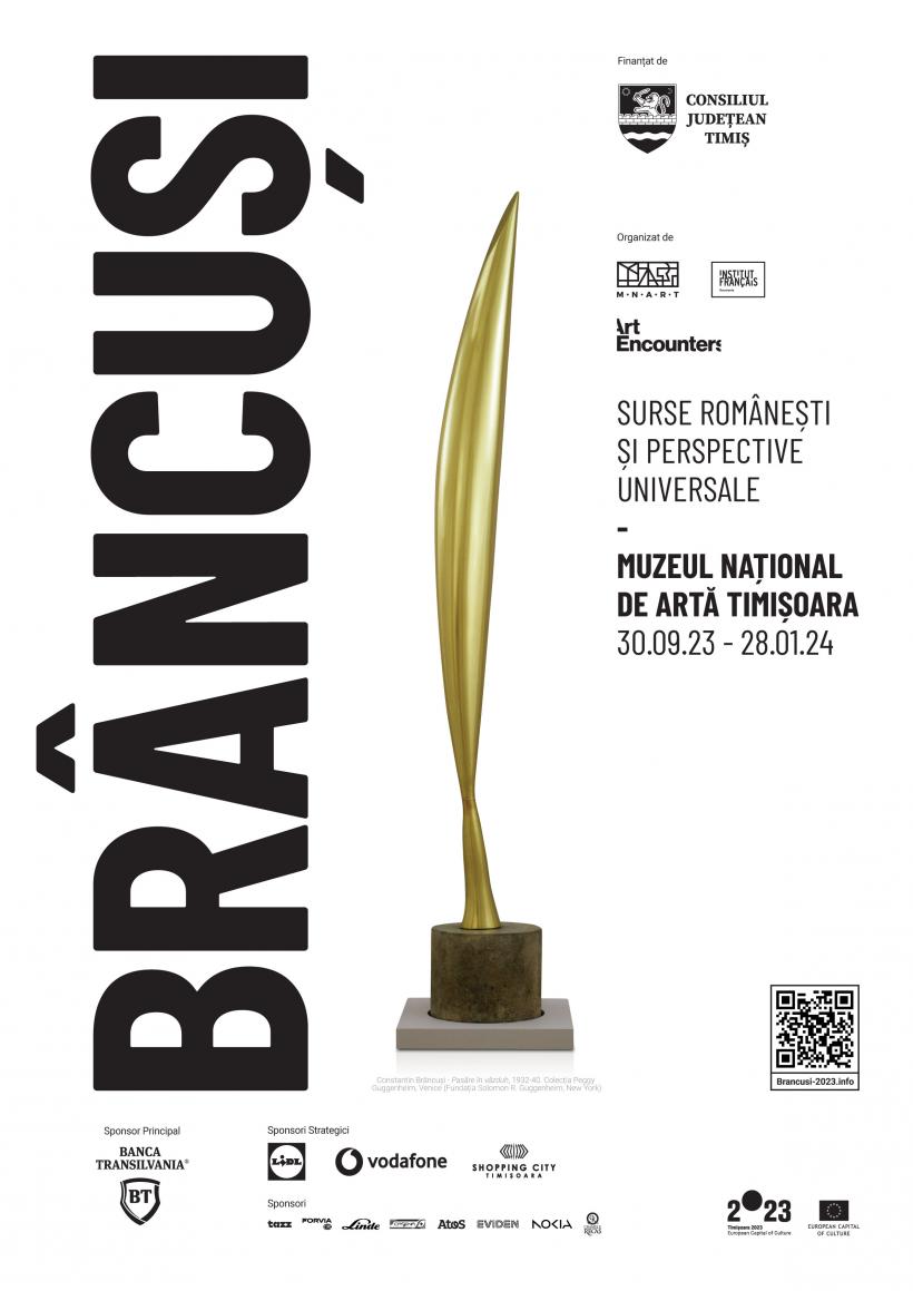 Au fost puse în vânzare biletele pentru expoziția „Brâncuși: surse românești și perspective universale” de la Timișoara