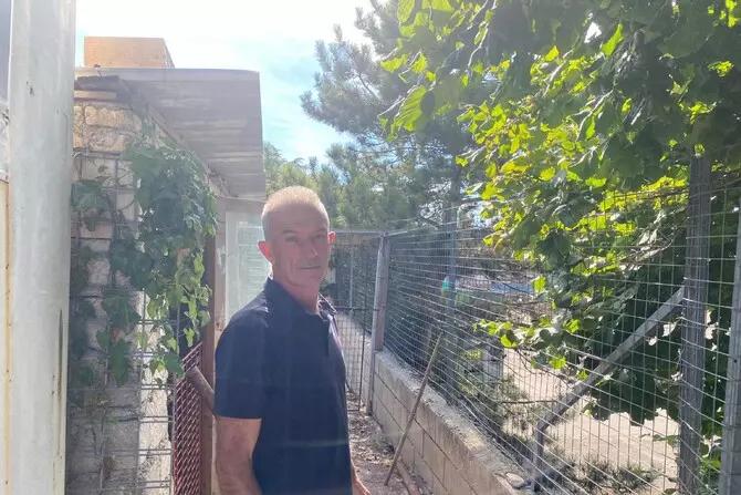 Calvar pentru bărbatul care a ucis ursoaica din Italia: de trei zile nu dorm și nu mănânc, nu mai trăiesc. Primesc în permanență telefoane de amenințare 18857681