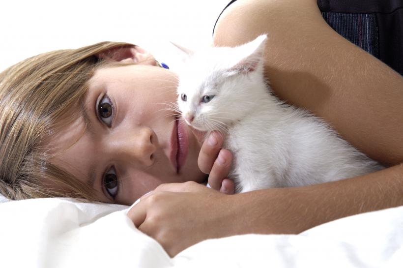 De ce pisica este animalul ideal de companie