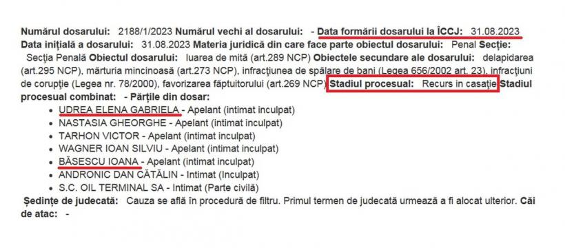 Ultima tentativă de a le băga în pușcărie pe Udrea și Ioana Băsescu, pe rolul Înaltei Curți 18857836