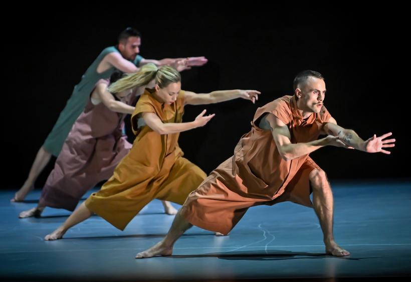 Highlights-uri FITS, premiere pe Scena Digitală în septembrie 18857883